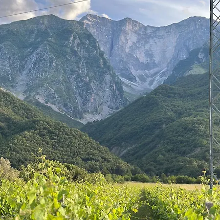 Proko Peakview
